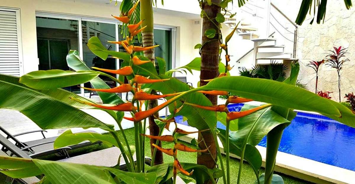 Estrella Del Mar - Condo 101 Isla Mujeres Εξωτερικό φωτογραφία
